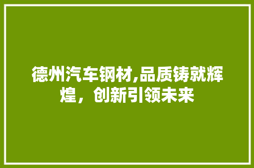 德州汽车钢材,品质铸就辉煌，创新引领未来