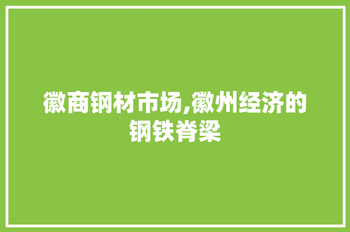 徽商钢材市场,徽州经济的钢铁脊梁