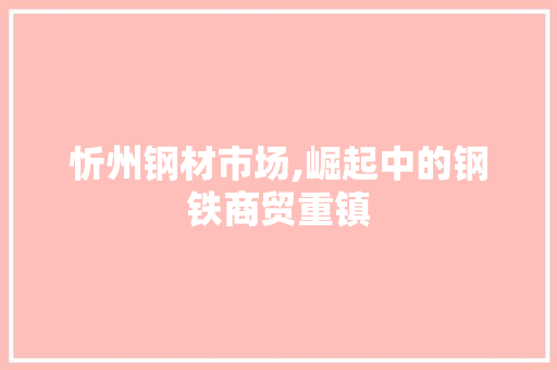 忻州钢材市场,崛起中的钢铁商贸重镇