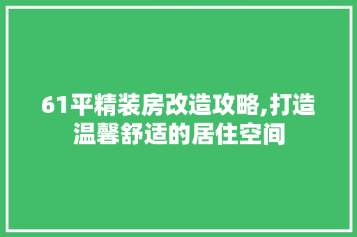 61平精装房改造攻略,打造温馨舒适的居住空间