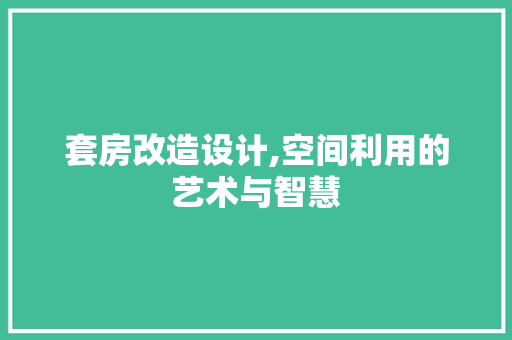 套房改造设计,空间利用的艺术与智慧