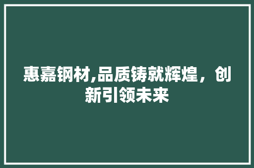 惠嘉钢材,品质铸就辉煌，创新引领未来