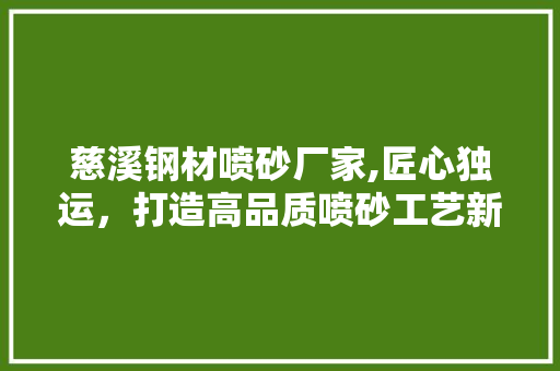 慈溪钢材喷砂厂家,匠心独运，打造高品质喷砂工艺新标杆
