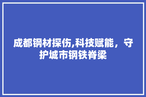 成都钢材探伤,科技赋能，守护城市钢铁脊梁