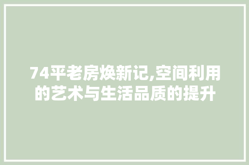 74平老房焕新记,空间利用的艺术与生活品质的提升