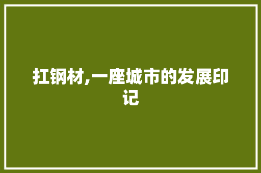 扛钢材,一座城市的发展印记