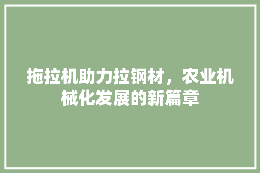 拖拉机助力拉钢材，农业机械化发展的新篇章