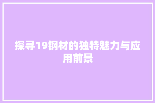 探寻19钢材的独特魅力与应用前景