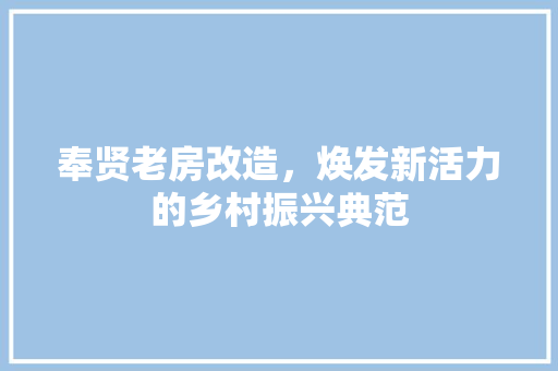奉贤老房改造，焕发新活力的乡村振兴典范