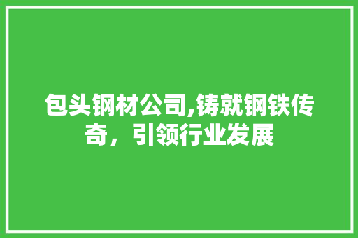 包头钢材公司,铸就钢铁传奇，引领行业发展