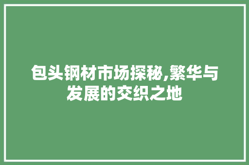 包头钢材市场探秘,繁华与发展的交织之地