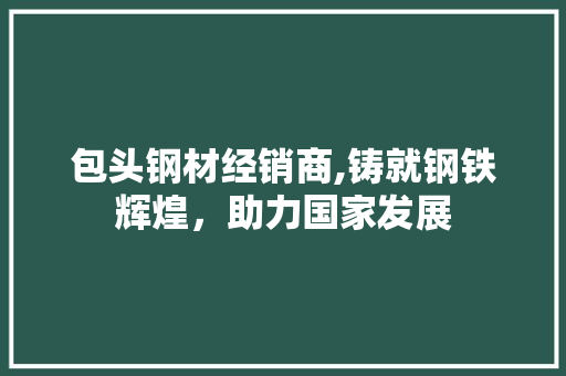 包头钢材经销商,铸就钢铁辉煌，助力国家发展
