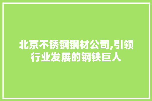 北京不锈钢钢材公司,引领行业发展的钢铁巨人