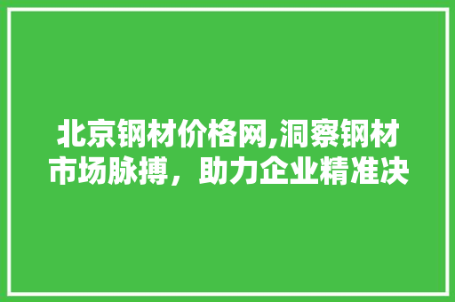 北京钢材价格网,洞察钢材市场脉搏，助力企业精准决策