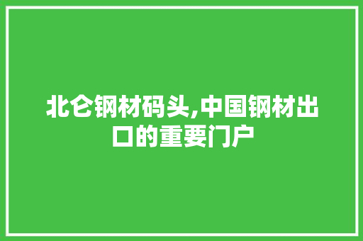 北仑钢材码头,中国钢材出口的重要门户