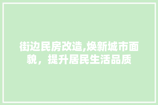 街边民房改造,焕新城市面貌，提升居民生活品质