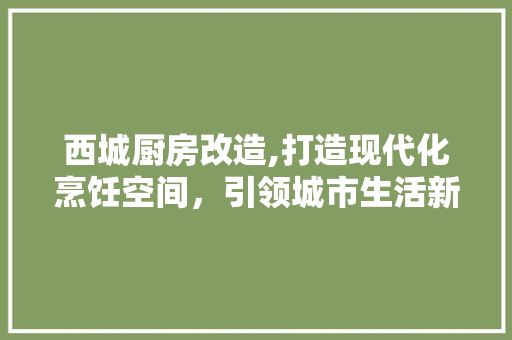 西城厨房改造,打造现代化烹饪空间，引领城市生活新风尚