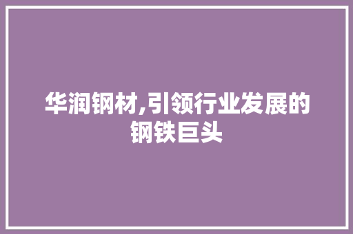 华润钢材,引领行业发展的钢铁巨头