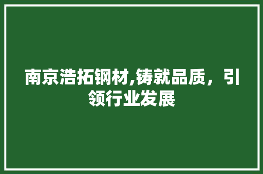 南京浩拓钢材,铸就品质，引领行业发展