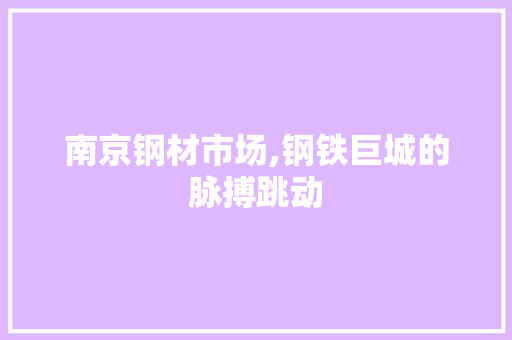 南京钢材市场,钢铁巨城的脉搏跳动