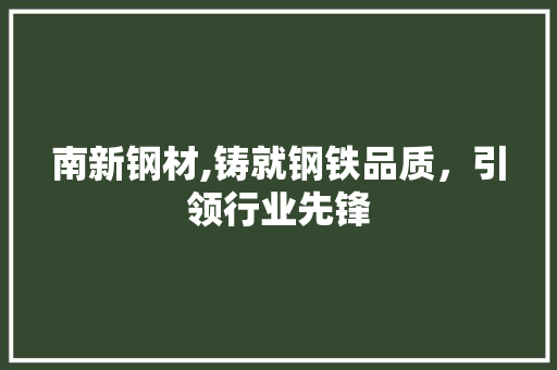 南新钢材,铸就钢铁品质，引领行业先锋