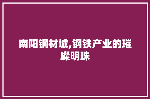 南阳钢材城,钢铁产业的璀璨明珠