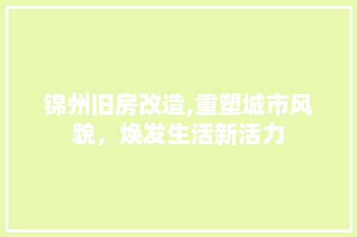 锦州旧房改造,重塑城市风貌，焕发生活新活力