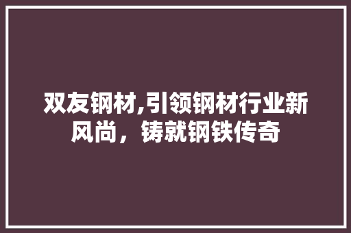 双友钢材,引领钢材行业新风尚，铸就钢铁传奇