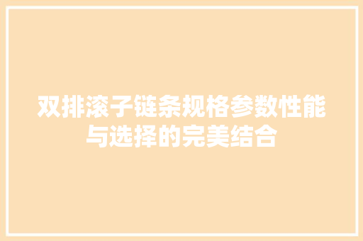 双排滚子链条规格参数性能与选择的完美结合