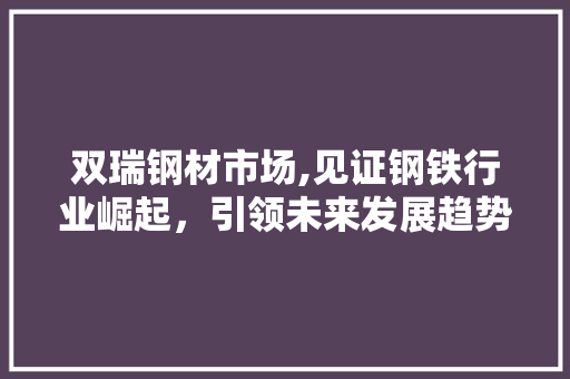 双瑞钢材市场,见证钢铁行业崛起，引领未来发展趋势