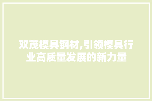 双茂模具钢材,引领模具行业高质量发展的新力量