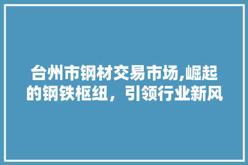 台州市钢材交易市场,崛起的钢铁枢纽，引领行业新风向
