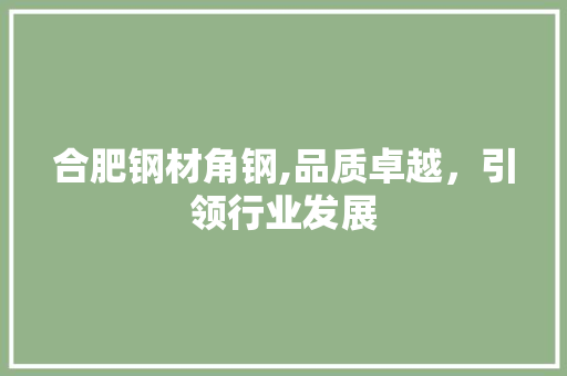 合肥钢材角钢,品质卓越，引领行业发展