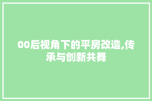 00后视角下的平房改造,传承与创新共舞