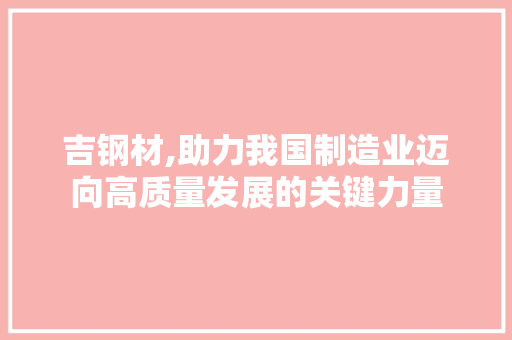 吉钢材,助力我国制造业迈向高质量发展的关键力量