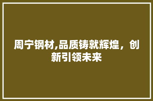 周宁钢材,品质铸就辉煌，创新引领未来