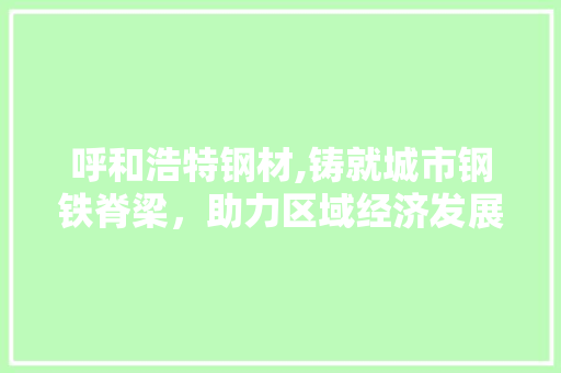 呼和浩特钢材,铸就城市钢铁脊梁，助力区域经济发展