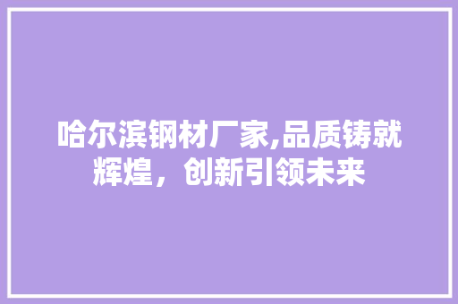 哈尔滨钢材厂家,品质铸就辉煌，创新引领未来