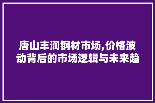 唐山丰润钢材市场,价格波动背后的市场逻辑与未来趋势