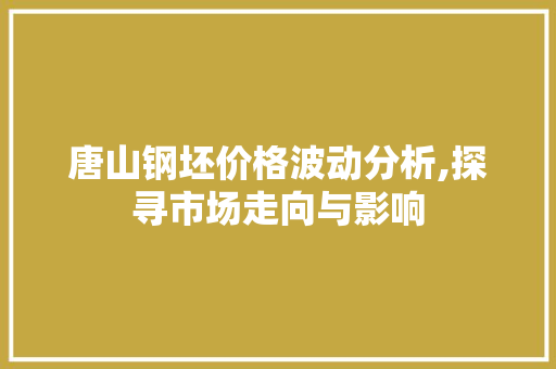 唐山钢坯价格波动分析,探寻市场走向与影响