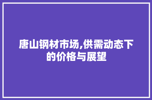 唐山钢材市场,供需动态下的价格与展望