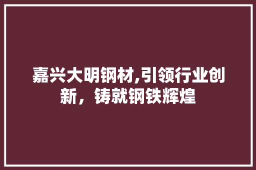 嘉兴大明钢材,引领行业创新，铸就钢铁辉煌