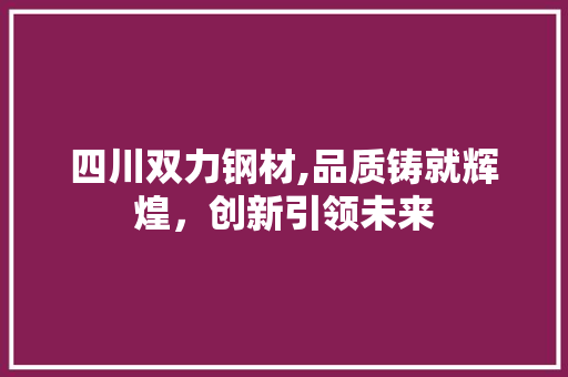 四川双力钢材,品质铸就辉煌，创新引领未来
