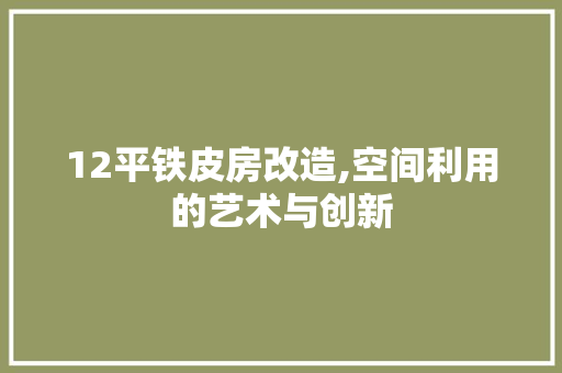 12平铁皮房改造,空间利用的艺术与创新