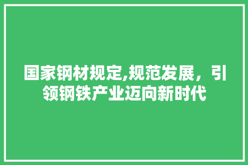 国家钢材规定,规范发展，引领钢铁产业迈向新时代