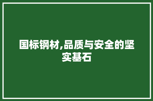 国标钢材,品质与安全的坚实基石