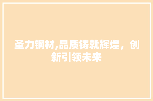 圣力钢材,品质铸就辉煌，创新引领未来