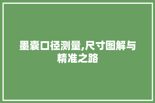 墨囊口径测量,尺寸图解与精准之路
