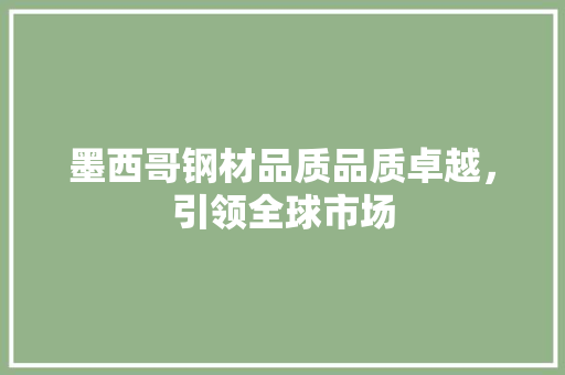 墨西哥钢材品质品质卓越，引领全球市场