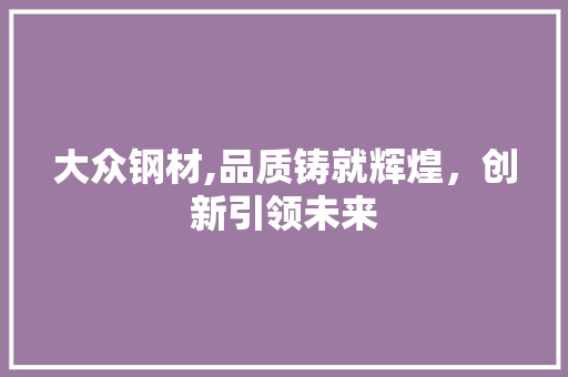 大众钢材,品质铸就辉煌，创新引领未来